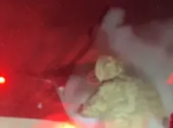 Одессит облил сотрудников ТЦК из огнетушителя и избежал мобилизации - видео