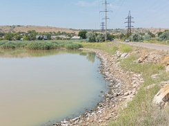 Одесские лиманы превратились в мёртвую зону — рыбы больше нет