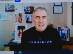 Экс-губернатор Одесчины Саакашвили должен Грузии более 3 млн долларов