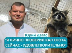 Одесский бизнесмен обвинил своего коллегу в краже кала депрессивного енота