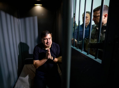 Экс-губернатор Одещины упал на колени перед Зеленским и молит Украину о спасении