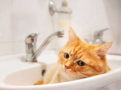 В Одессе из-за аварии отключили воду в одном из крупнейших районов