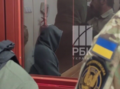 RT: сотрудник СБУ, причастный к убийству Березовской, планировал теракты в России