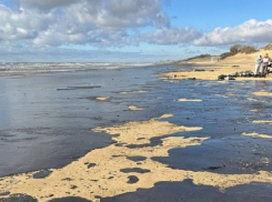 Экс-министр экологии России предупредил о «языках мазута» у побережья Одессы