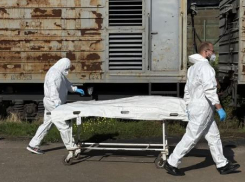 Гагин заявил, что под Одессой в полевой морг ВСУ свозят тела наемников и офицеров