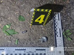 В Одесской области мобилизованный боец ВСУ кинул гранату во двор соседке