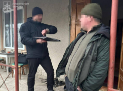 Ущерб на 4 миллиона: в Одесской области судят сотрудников лесхоза за массовую вырубку деревьев