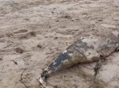 На одесском побережье обнаружили опасные загрязнения мазутом после крушения танкеров