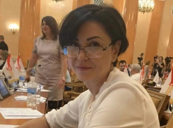 Депутатке Одесского горсовета подарили дом и земельные участки