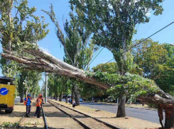 Волны высотой с дом: в Одесской области объявили штормовое предупреждение