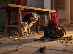 Сжигают, терзают, избивают: в Одесской области появилось новое развлечение – садизм