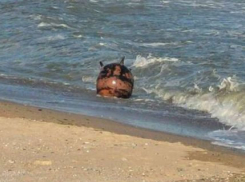 На берег Одесской области вынесло морскую мину