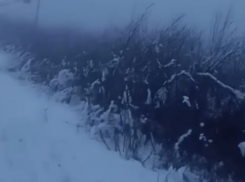 В Одессе полмиллиона человек остались без света и тепла