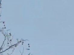 Массовую атаку беспилотников по объектам ВСУ в Одессе сняли на видео