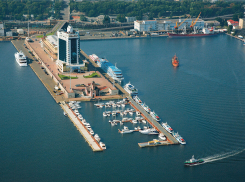 Налоги, контрабанда и санкции: в Одесском порту занимаются незаконным экспортом товаров