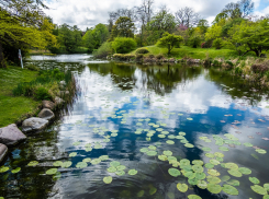 Молодой мужчина пропал во время отдыха на пруду в Одесской области