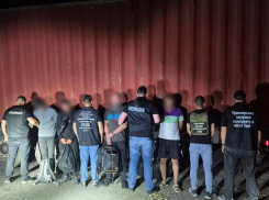 В Одесской области задержали фуру с уклонистами, спрятанными среди дров