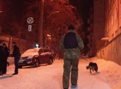 В Одессе обезглавили 28-летнюю девушку, а голову бросили в сугроб – убийцу так и не нашли