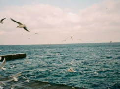 Эксперт Иванников: после ударов по Одессе пираты и эксперты НАТО пошли ко дну