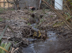 «Ждем трагедии»: жители осудили военного мэра Одессы за мусор в ливневках