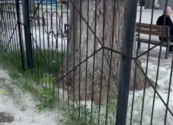 Одесса превратилась в ад для аллергиков из-за сугробов тополиного пуха