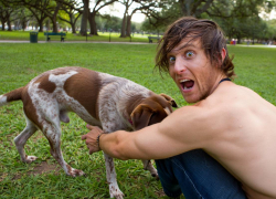 Жутко за детей: по Одессе бегает улизнувший из психушки пациент и насилует животных