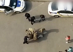 Политолог Воскобойников: в Одессе ТЦК начали врываться в дома и избивать мужчин 