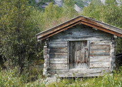 Четырехлетний мальчик погиб в Одесской области при обрушении сарая