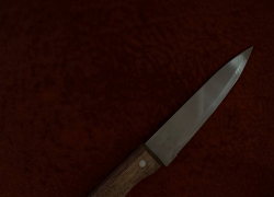 В Одессе брат убил сестру, нанеся ей 15 ножевых ранений