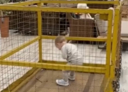 Появилось видео из магазина Одессы, где родители посадили ребенка в клетку
