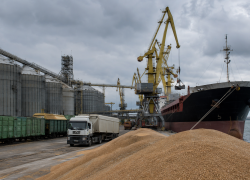 Financial Times: мировые цены на пшеницу побили рекорд из-за ударов по портам Одессы