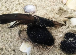 В Одесской области нашли новый участок загрязнения мазутом