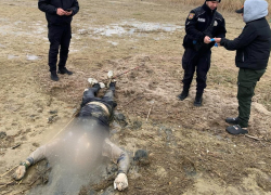 В Одесской области рыбак вместо рыбы поймал труп мужчины