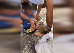 Жестокие пытки в Одесском районе: полиция передала дело о насилии над подростком в суд