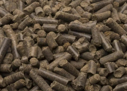 Одесситам предложили топить дома куриным пометом