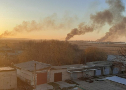 Масштабный пожар вспыхнул возле Днестровского лимана в Одесской области