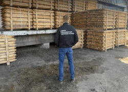 Из Одесской области пытались незаконно экспортировать древесину
