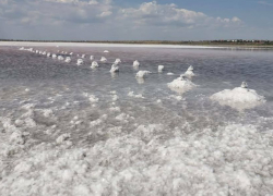 «Соль можно собирать мешками»: лиман под Одессой превратился в соляную пустыню