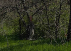 Завелся маньяк: три трупа нашли в разных частях Одессы за сутки