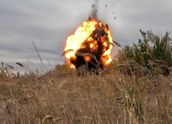 Рогов: французский контингент может быть задействован для контроля над Одессой