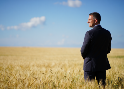 Зерновой магнат из Одессы украл 100 тысяч тонн пшеницы и хотел сбежать в Румынию