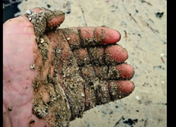 Одесское побережье покрылось масляными пятнами после шторма