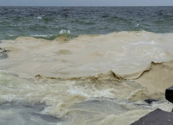 Пляжный сезон-2026 в Одессе могут отменить из-за разлива масла в море