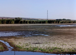 Дожди вернули жизнь реке Кодыма в Одессе: экологическая катастрофа отложена