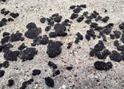 Мазут из затонувших в Черном море танкеров выбросило на одесский пляж