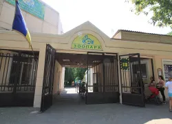 Одесские депутаты не смогли договориться о будущем зоопарка