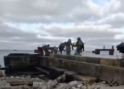 СМИ: украинская разведка признала большие потери ВСУ на острове Змеиный в Одессе