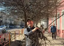 Учитель из Мюнхена приехал в Одессу и бесплатно ухаживает за деревьями