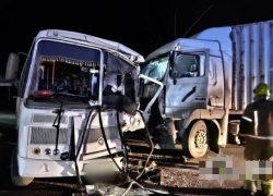 Мужчина пострадал при столкновении большегруза и пассажирского автобуса на трассе в Одесской области