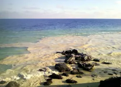 Катастрофы можно было избежать: появились спутниковые кадры разлива масла у побережья Одесской области